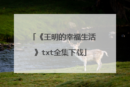 《王明的幸福生活》txt全集下载
