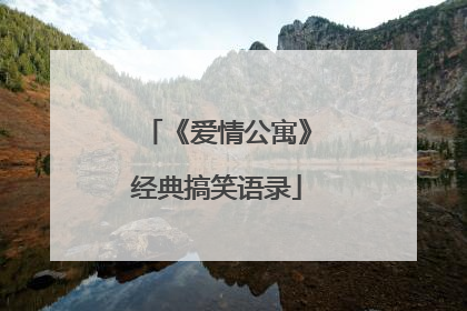 《爱情公寓》经典搞笑语录