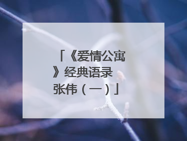 《爱情公寓》经典语录 张伟(一)