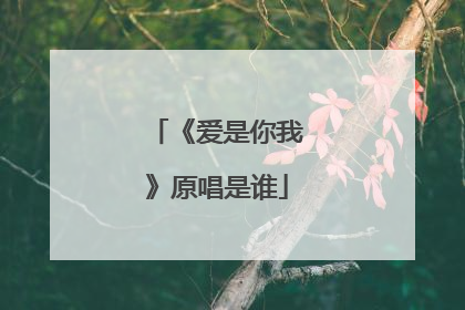 《爱是你我》原唱是谁