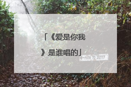 《爱是你我》是谁唱的