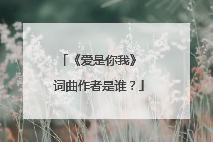 《爱是你我》 词曲作者是谁？