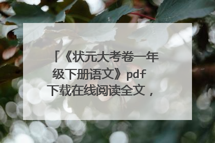 《状元大考卷一年级下册语文》pdf下载在线阅读全文，求百度网盘云资源