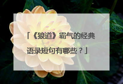 《狼道》霸气的经典语录短句有哪些？