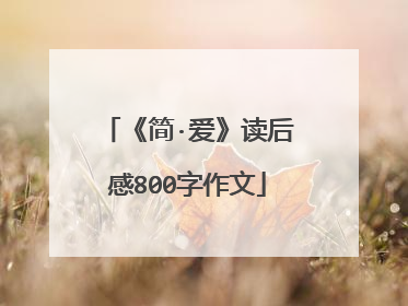 《简·爱》读后感800字作文