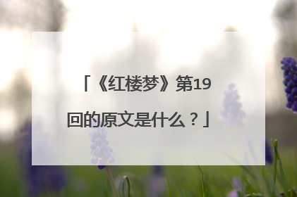 《红楼梦》第19回的原文是什么？