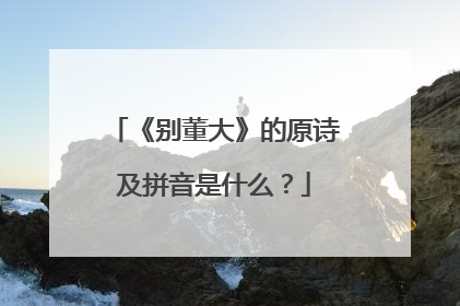 《别董大》的原诗及拼音是什么?