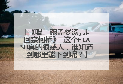 《喝一碗孟婆汤,走一回奈何桥》 这个FLASH真的很感人,谁知道到哪里能下到呢?