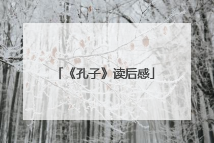 《孔子》读后感