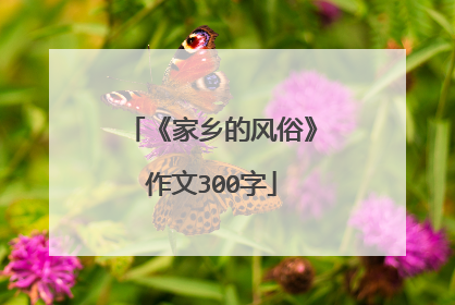 《家乡的风俗》作文300字