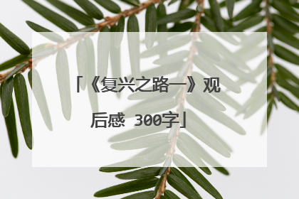 《复兴之路一》观后感 300字