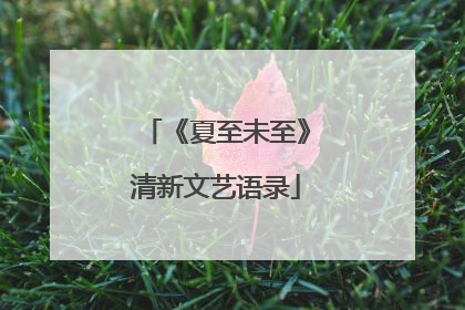 《夏至未至》清新文艺语录