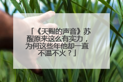 《天赐的声音》苏醒原来这么有实力，为何这些年他却一直不温不火？