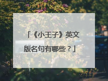 《小王子》英文版名句有哪些？