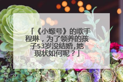 《小螺号》的歌手程琳，为了领养的孩子53岁没结婚,她现状如何呢？