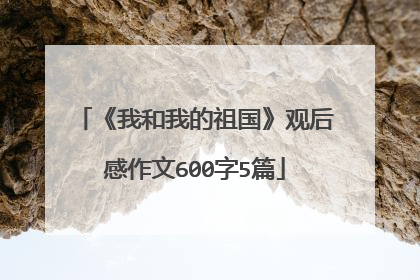 《我和我的祖国》观后感作文600字5篇