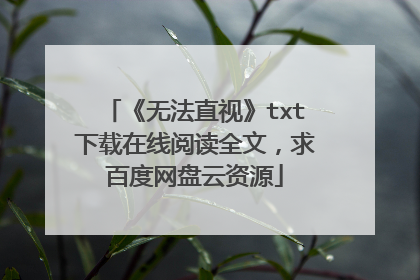 《无法直视》txt下载在线阅读全文,求百度网盘云资源