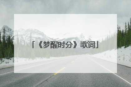 《梦醒时分》歌词