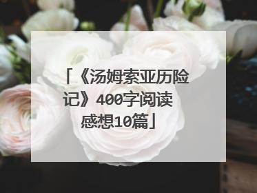 《汤姆索亚历险记》400字阅读感想10篇