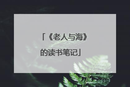 《老人与海》的读书笔记