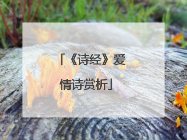 《诗经》爱情诗赏析