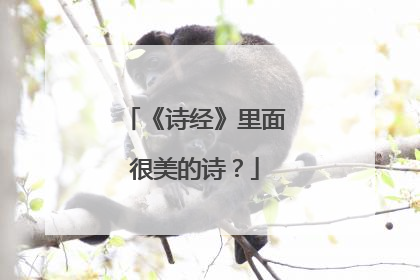 《诗经》里面很美的诗?