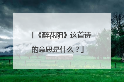 《醉花阴》这首诗的意思是什么？
