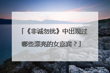 《非诚勿扰》中出现过哪些漂亮的女嘉宾?