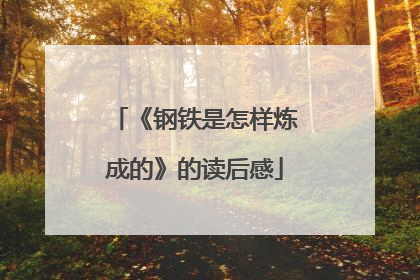 《钢铁是怎样炼成的》的读后感