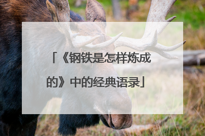 《钢铁是怎样炼成的》中的经典语录