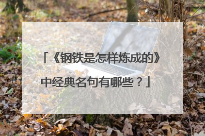 《钢铁是怎样炼成的》中经典名句有哪些？