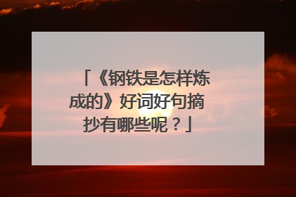 《钢铁是怎样炼成的》好词好句摘抄有哪些呢？