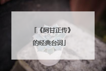 《阿甘正传》的经典台词