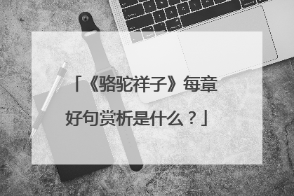 《骆驼祥子》每章好句赏析是什么？