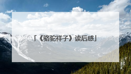 《骆驼祥子》读后感