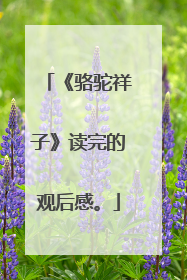 《骆驼祥子》读完的观后感。