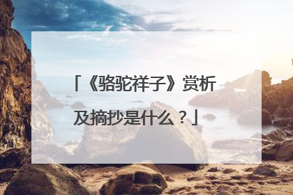 《骆驼祥子》赏析及摘抄是什么？