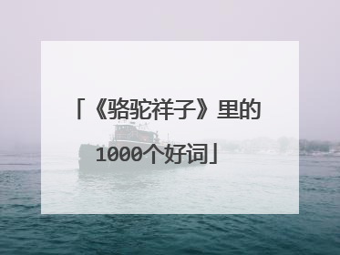 《骆驼祥子》里的1000个好词