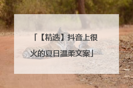 【精选】抖音上很火的夏日温柔文案