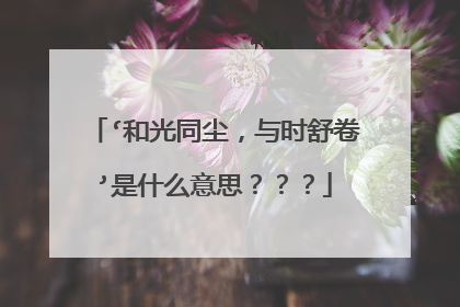 ‘和光同尘，与时舒卷’是什么意思？？？
