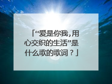 “爱是你我,用心交织的生活”是什么歌的歌词？