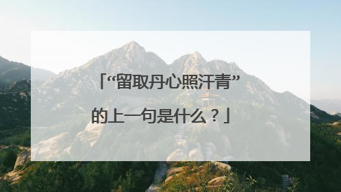 “留取丹心照汗青”的上一句是什么?