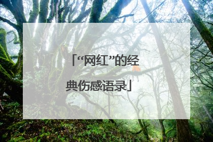 “网红”的经典伤感语录
