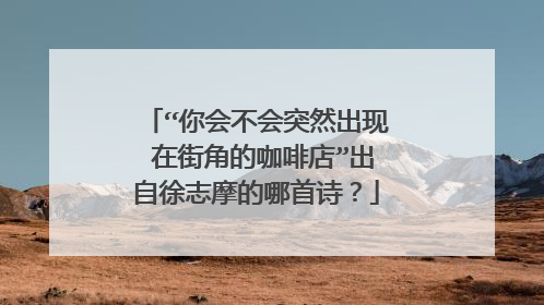 “你会不会突然出现 在街角的咖啡店”出自徐志摩的哪首诗？