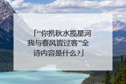 “你携秋水揽星河我与春风皆过客”全诗内容是什么?