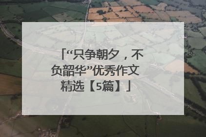 “只争朝夕，不负韶华”优秀作文精选【5篇】