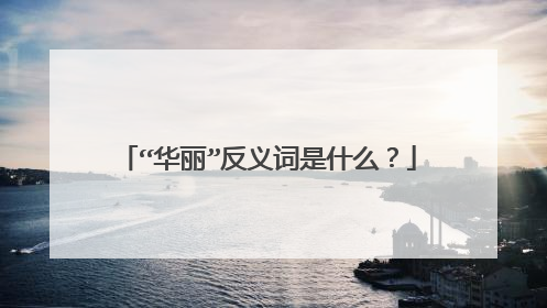 “华丽”反义词是什么？