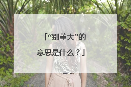 “别董大”的意思是什么？