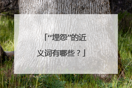 “埋怨”的近义词有哪些?