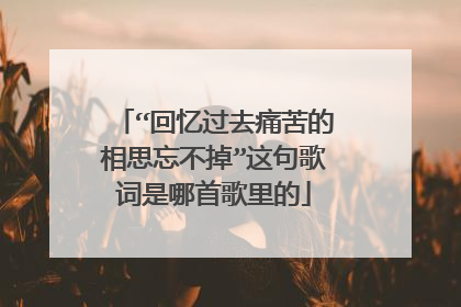 “回忆过去痛苦的相思忘不掉”这句歌词是哪首歌里的